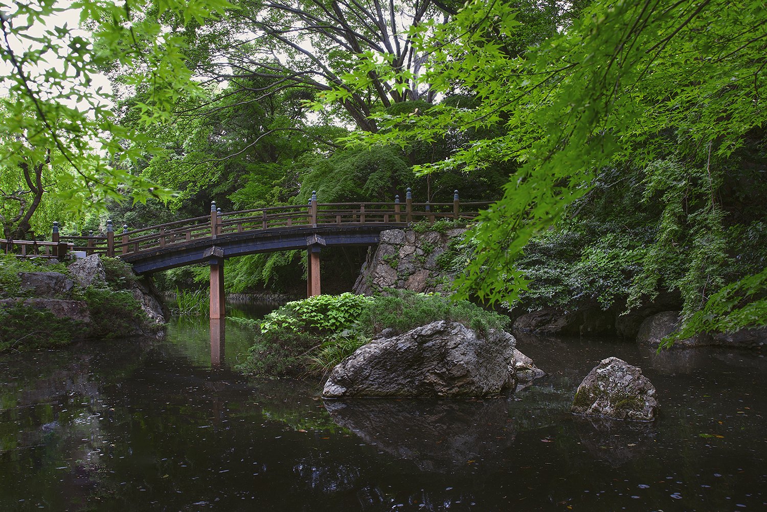 🌳 하마마쓰성 공원 (하마마츠죠 코엔) 이미지 7